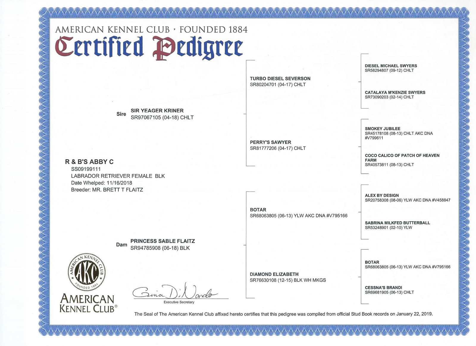 Abby certified pedigree document