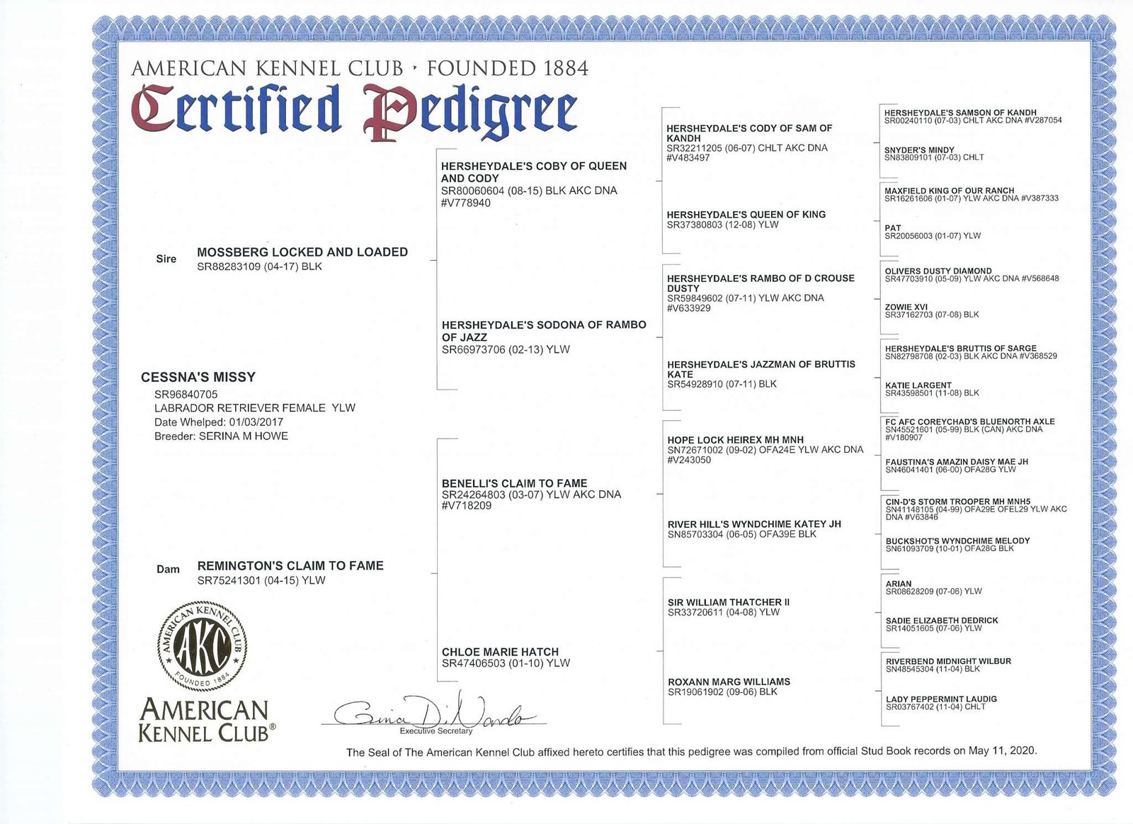 Missy certified pedigree document