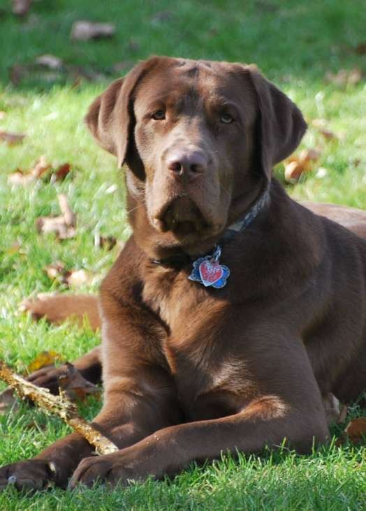 DuPont “Duey” Cessna