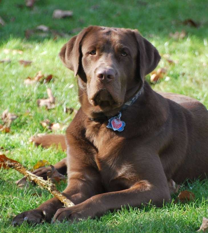 DuPont “Duey” Cessna