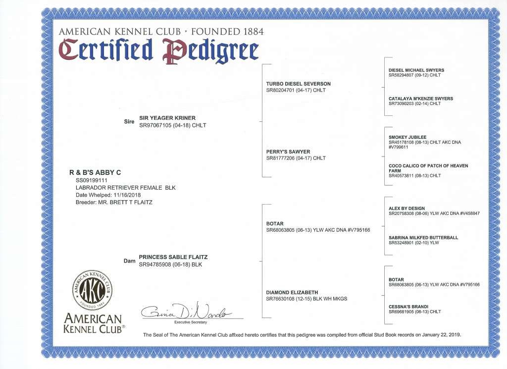 Abby_Certified Pedigree