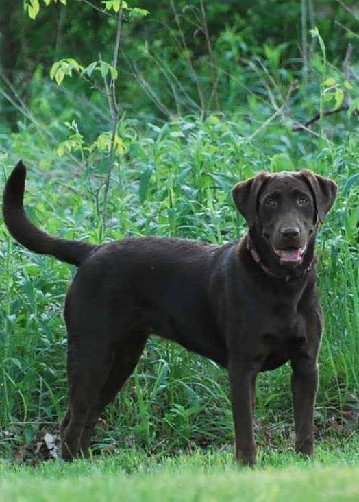 Brandi “Brandeline” Cessna